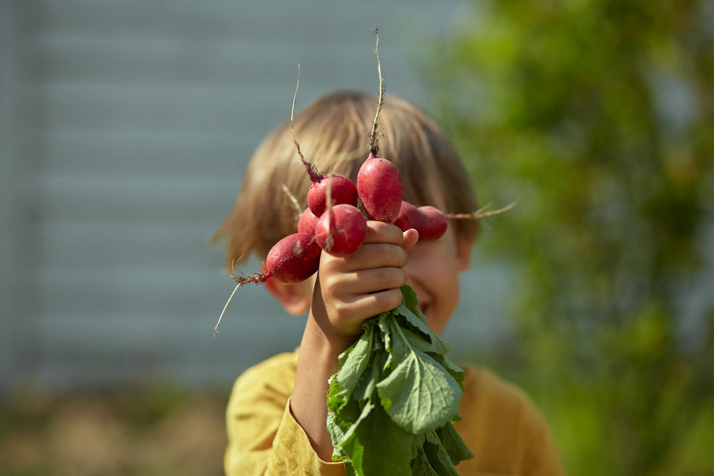Manfaat mengajarkan anak berkebun sejak dini