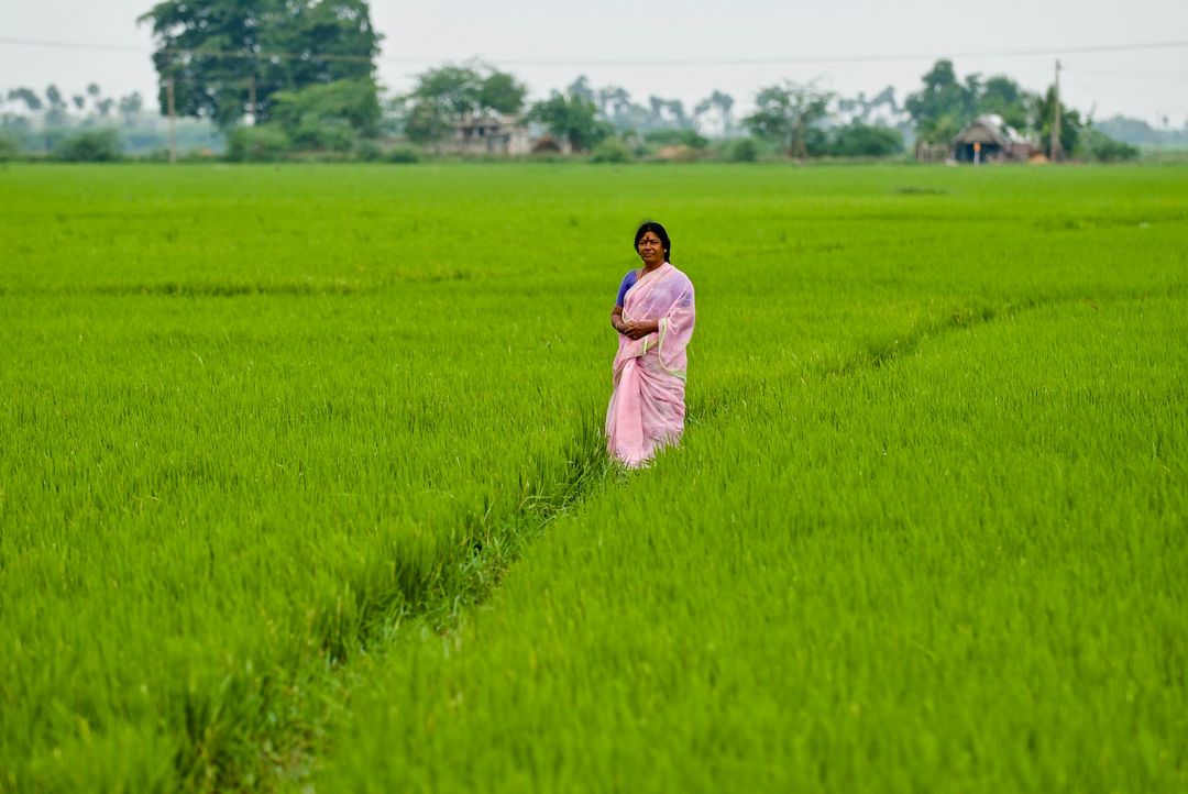 Petani India