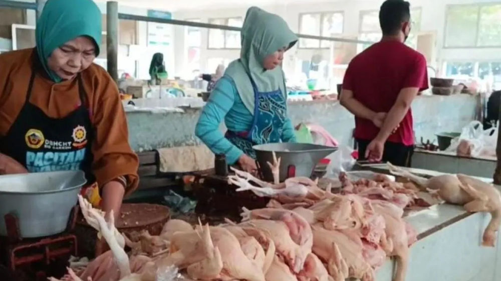 Pedagang Ayam di Pacitan