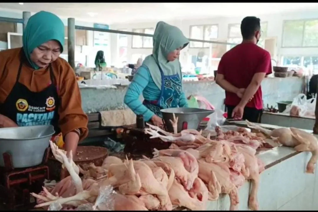 Pedagang Ayam di Pacitan