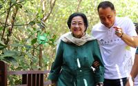 Megawati mangrove.jpg