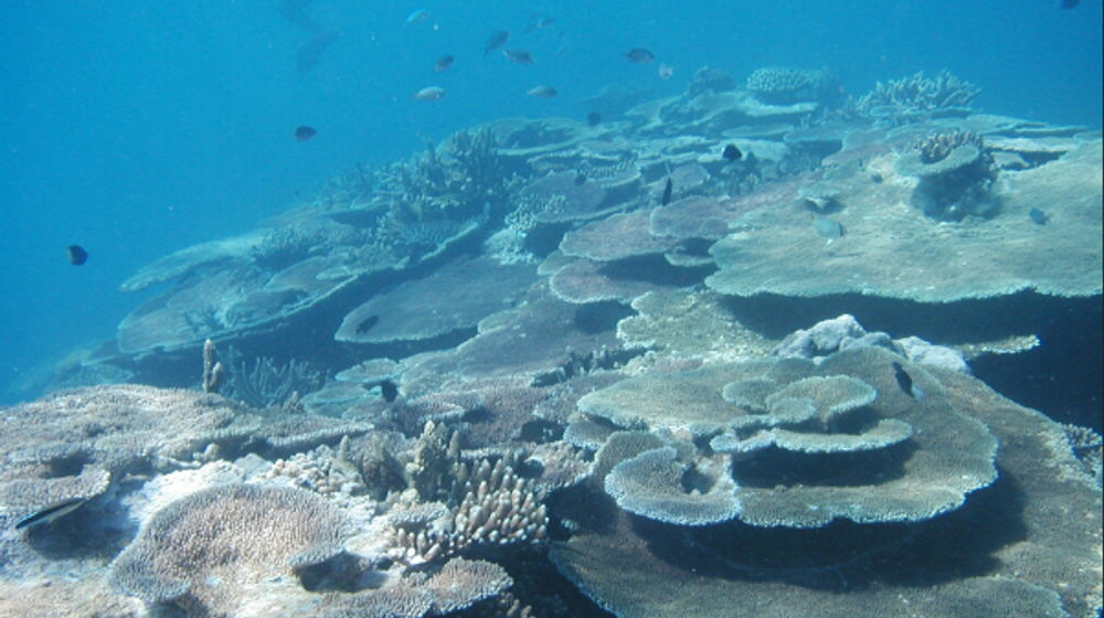  Great Barrier Reef