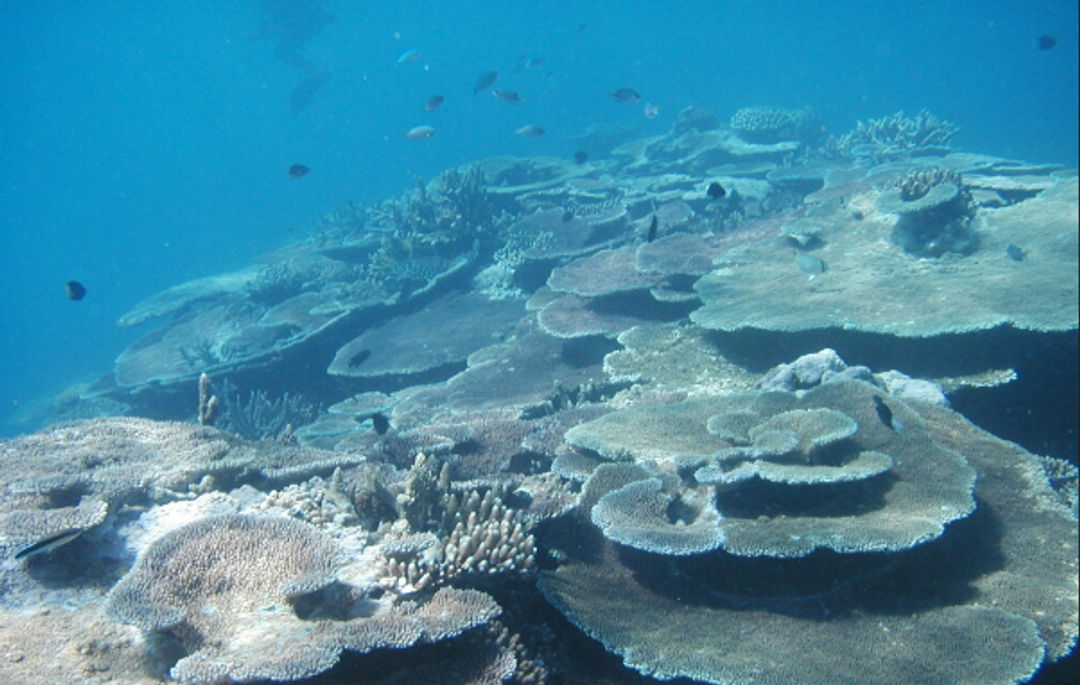  Great Barrier Reef