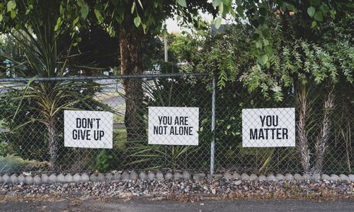 dan-meyers-hluOJZjLVXc-unsplash.jpg