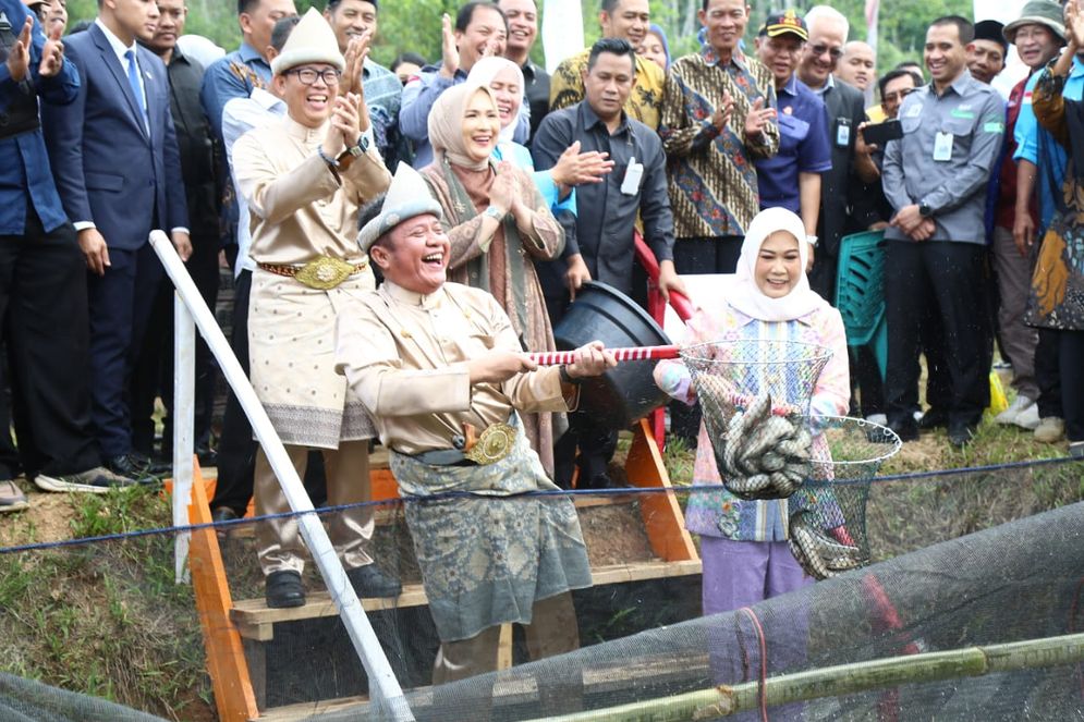 Mantap! Kampung Budidaya Ikan Gabus di OKU Produksi 60 Ribu Benih,  Siap Dukung Program GSMP Inisiasi Gubernur Herman Deru 