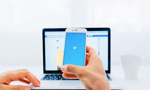 Cara Download Video dari Twitter Tanpa Harus Bayar Langganan Twitter Blue