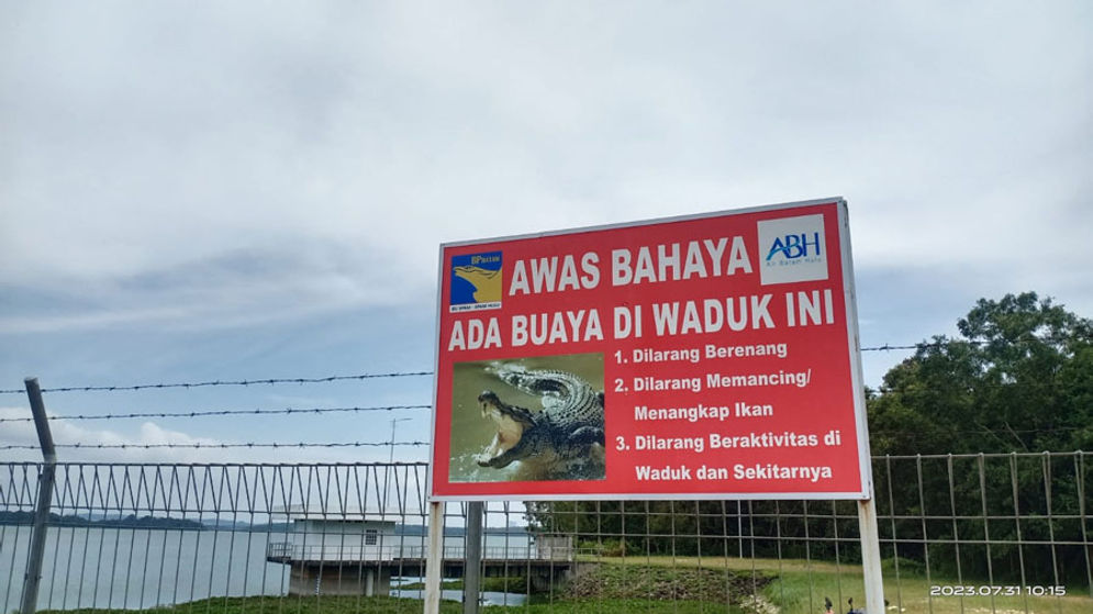 buaya.jpg