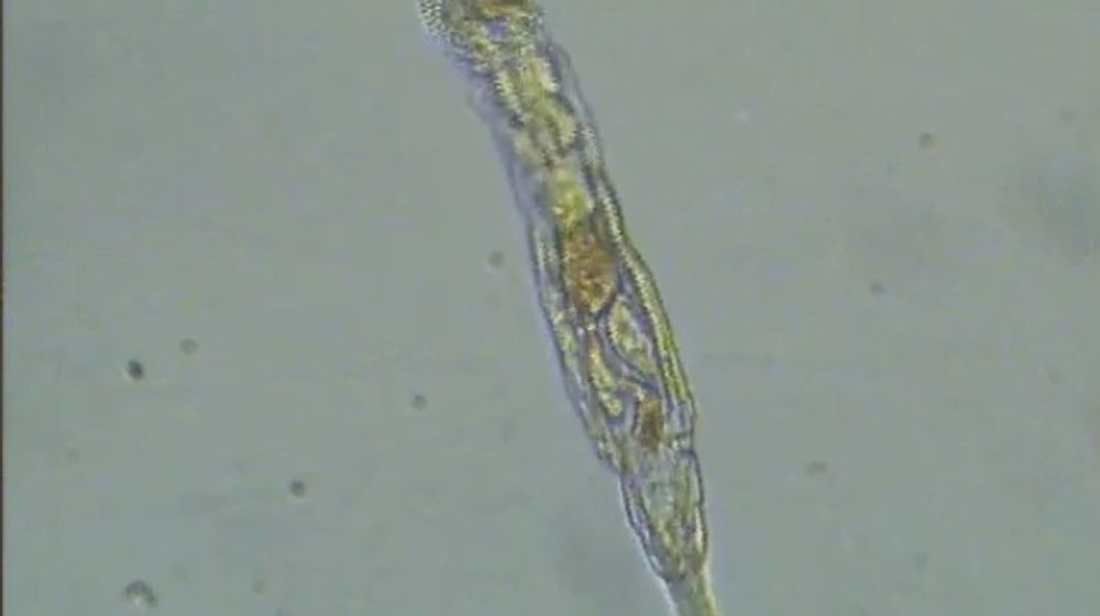 WhatsApp Image 2023-08-01 at 14.11.05.jpeg