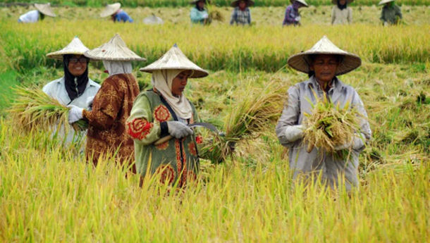 NTP Provinsi Lampung Naik 0,89 Persen pada Juli 2023 