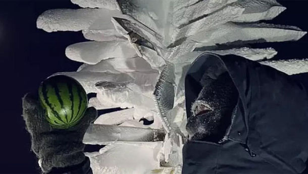 Ilmuwan Rusia Berhasil Panen Semangka di Tempat Terdingin Bumi