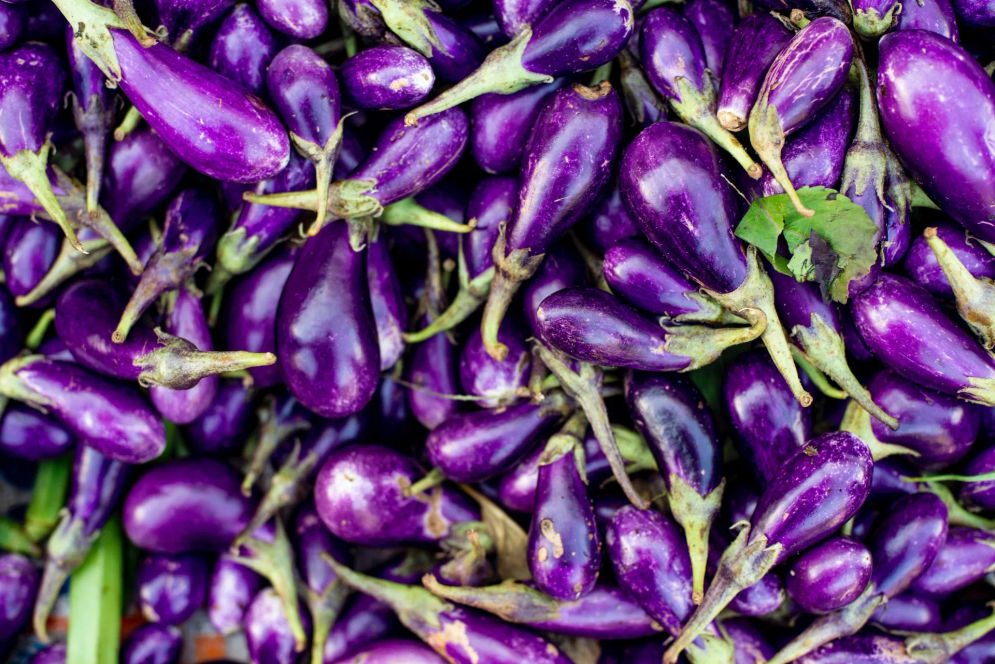 Terong merupakan tanaman kaya manfaat yang mudah dijumpai di masakan-masakan. Melansir dari situs resmi Kementerian Pertanian, tanaman tropis ini berasal dari India dan Sri Lanka dan masih satu famili dengan tomat dan kentang.