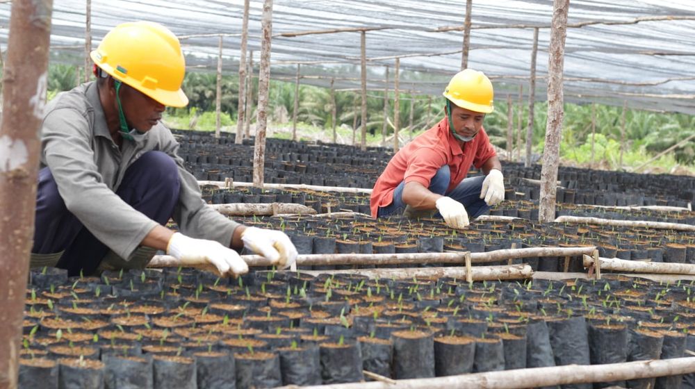 WhatsApp Image 2023-08-03 at 17.58.39.jpeg