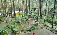 Lokasi dan Rute Kopeng Treetop Adventure Semarang Jawa Tengah.png