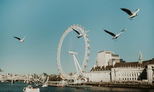 London Eye