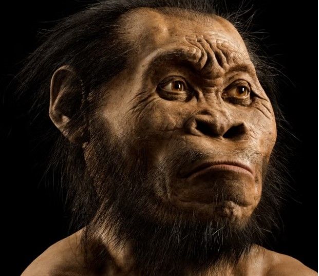 The Mysterious Ancient Culture of the ‘Small-Brained Hominins’