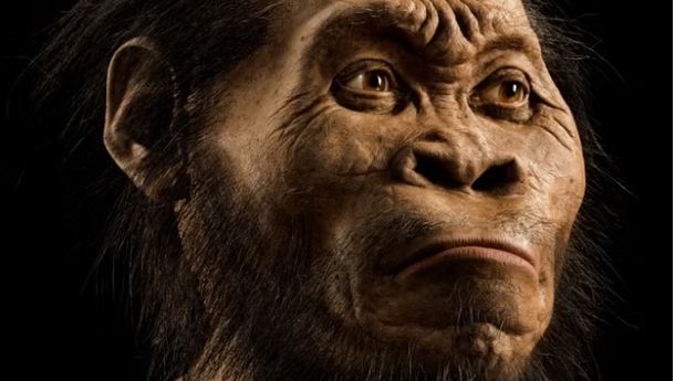 Penemuan ‘Dunia Bawah’ Goyahkan Pemahaman Kita tentang Evolusi Manusia