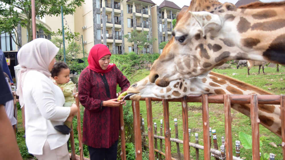 ​​Mantap! Destinasi Wisata di Jatim Jadi Favorit Wisatawan Domestik