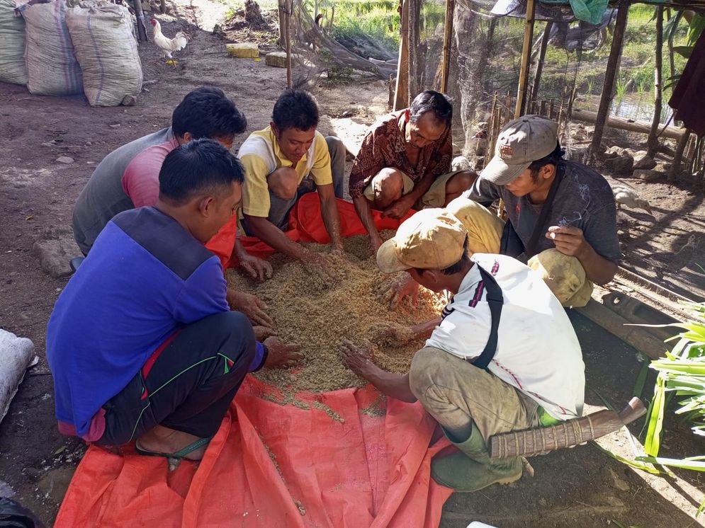 Cerita Visista, Pemuda Asal Lahat Ciptakan Pakan Ternak Berbahan Sampah Organik jadi Finalis Satu Indonesia Astra Award