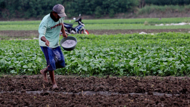 Tips Moncer Kelola Industri Pertanian di Tengah Tantangan Fenomena El Nino
