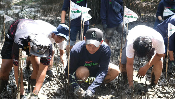 Dukung Kelestarian Lingkungan Hidup, Telkomsel Tanam 200 Bibit Mangrove