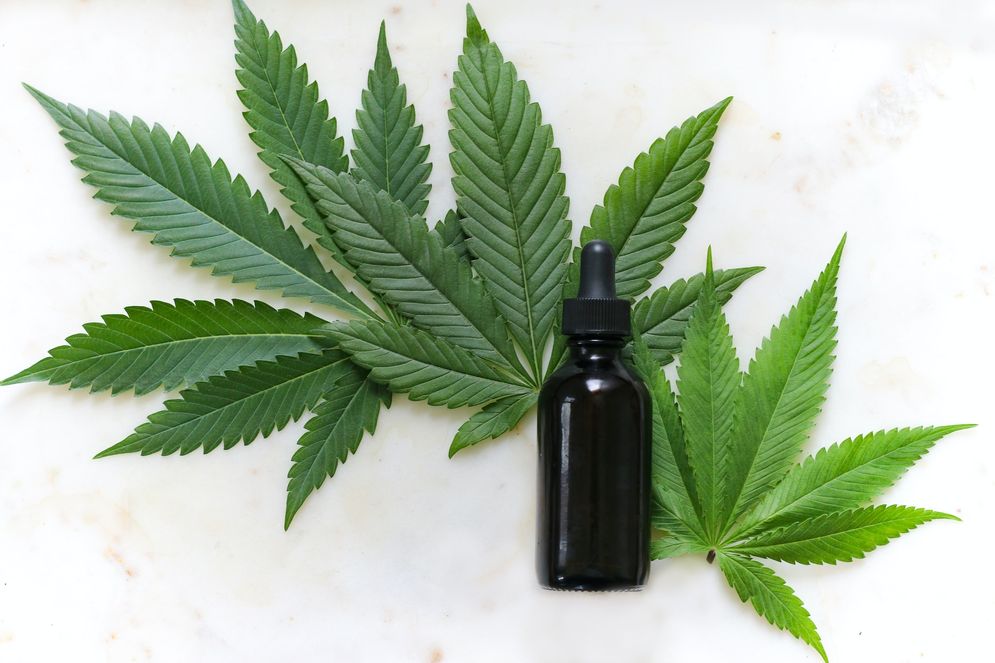 Cannabidiol Obat Penurun Kecemasan Ditemukan di 