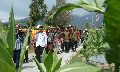 Ratusan petani tembakau di Desa Wonosari, Kecamatan Bulu, Kabupaten Temanggung mengelar ritual wiwit mbako pada Selasa 15 Agustus 2023.