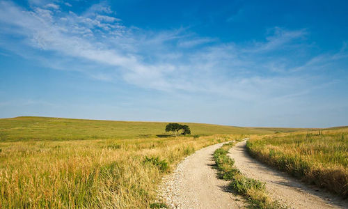 The Flint Hills