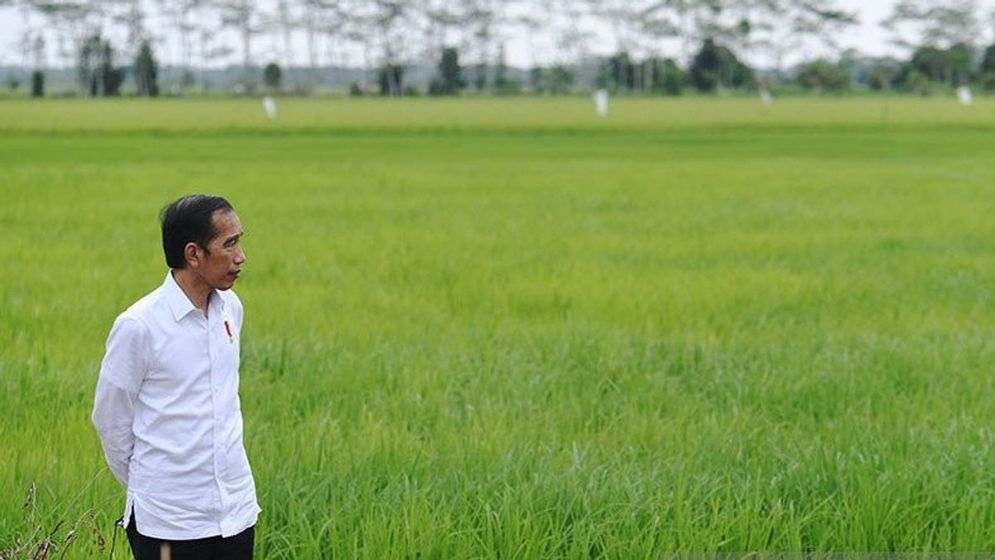 Progam Food Estate saat ini tengah menjadi topik pembicaraan setelah Sekjen Partai PDIP Hasto Kristiyanto memberikan sejumlah kritik dalam program tersebut.