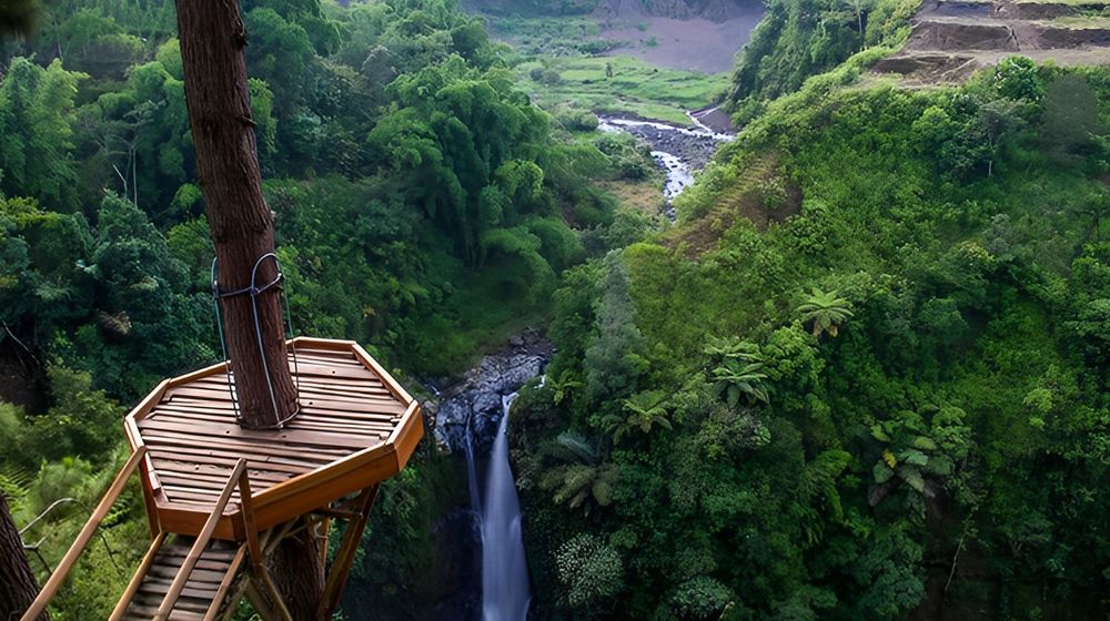 ec63cb00-8e45-488c-91b5-1976fb3cccc8 (1).jpg