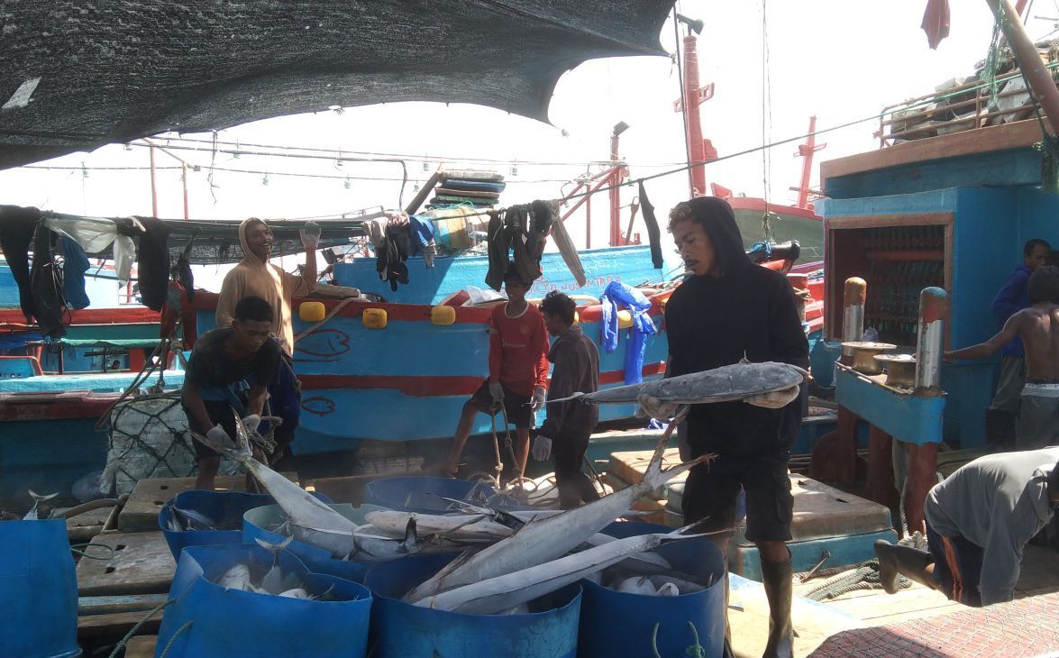 Tangkapan Ikan Tuna Sirip Biru Selatan di Benoa Semester 1 Capai 281,3 Ton, Terbanyak di Indonesia