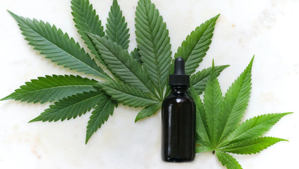 Penelitian Sebut Cannabidiol Dapat Atasi Gangguan Kecemasan