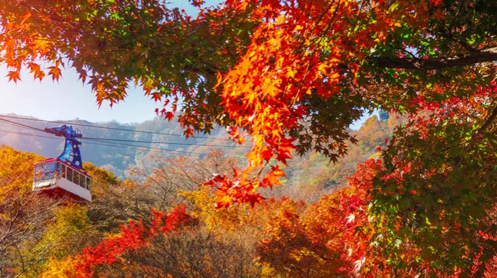 Taman Nasional Naejangsan