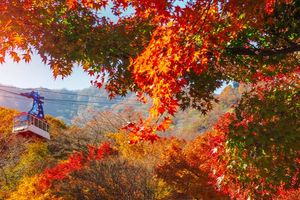 Taman Nasional Naejangsan