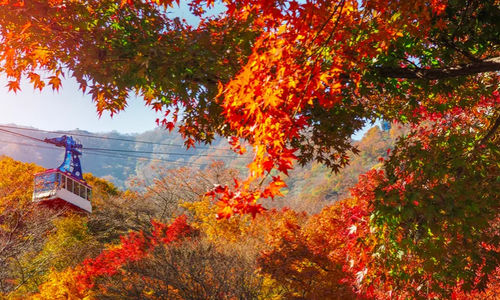Taman Nasional Naejangsan