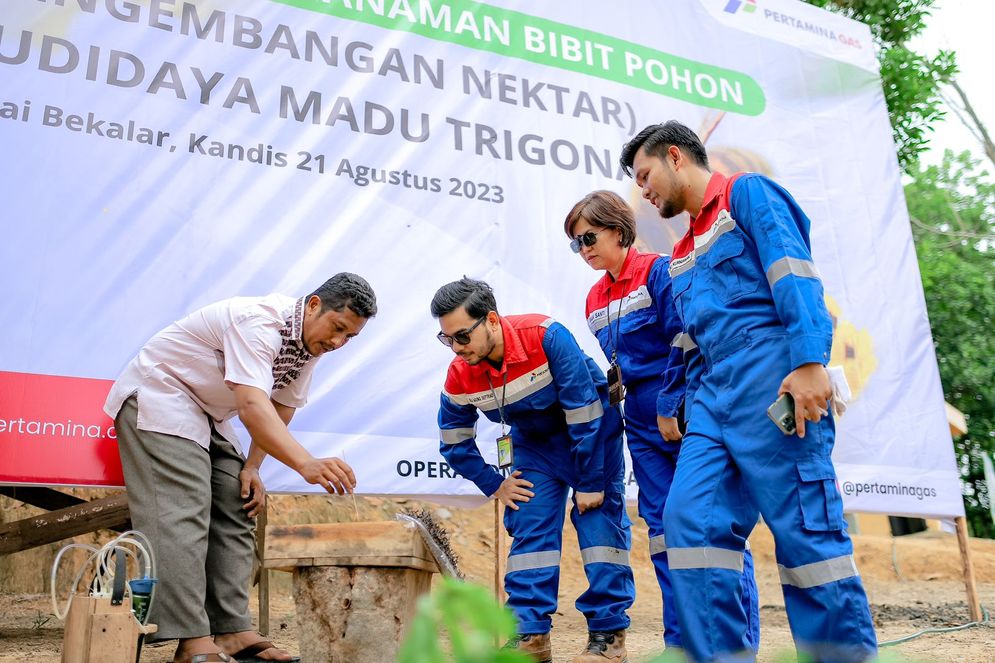 Cara Pertagas Tingkatkan Produksi Madu Trigona, Tanam Bibit Pohon Pengembangan Nektar