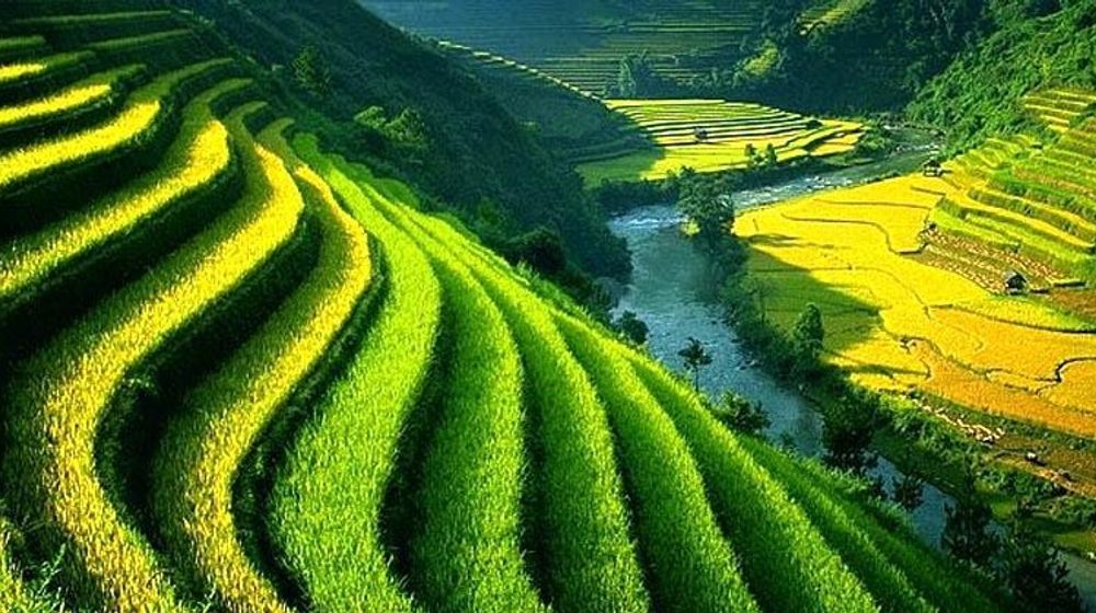 Reforma Agraria Bali dari Tahun ke Tahun