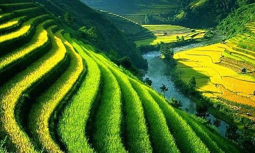 Reforma Agraria Bali dari Tahun ke Tahun 