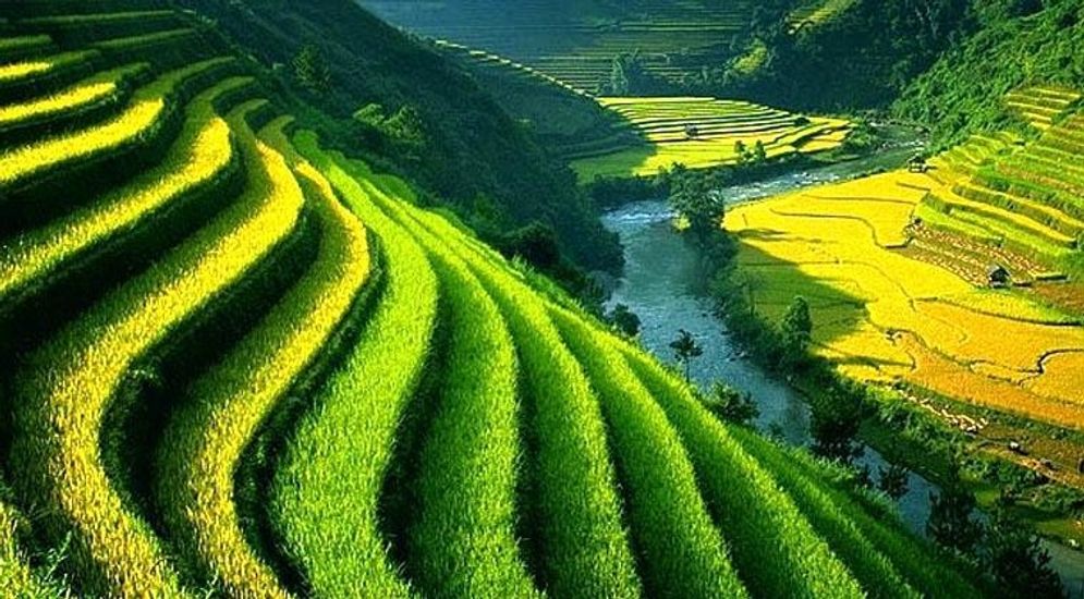 Reforma Agraria Bali dari Tahun ke Tahun