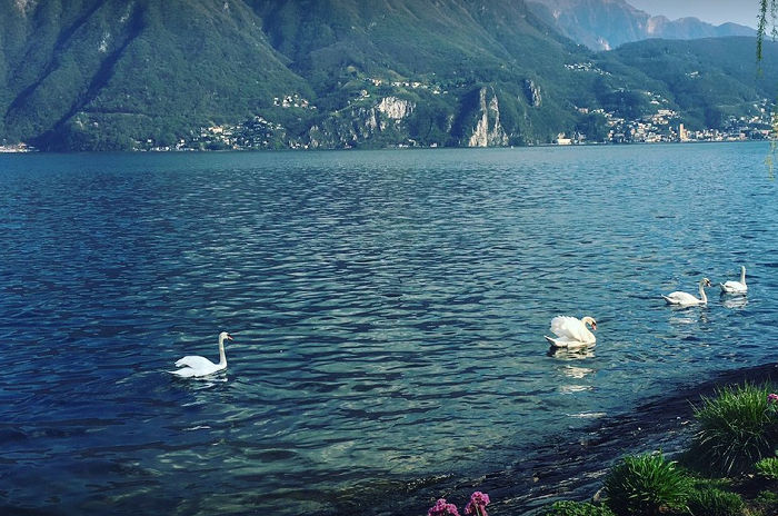 Danau Lugano