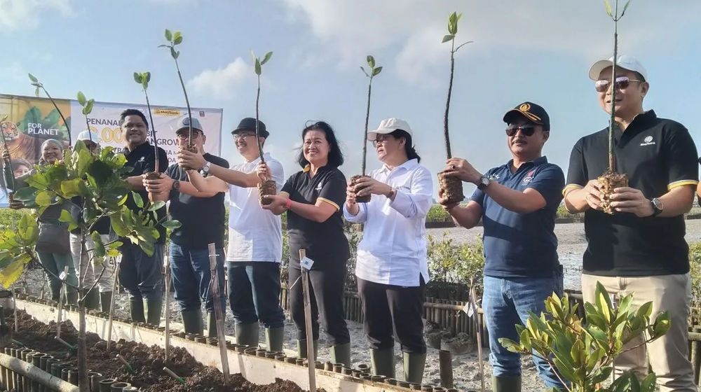 Dukung Emisi Nol Karbon 2060, Maybank Indonesia Tanam 2 Ribu Bibit Mangrove di Denpasar