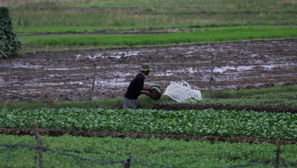 Garda Depan Lumbung Pangan, Kesejahteraan Petani Jadi PR Bersama