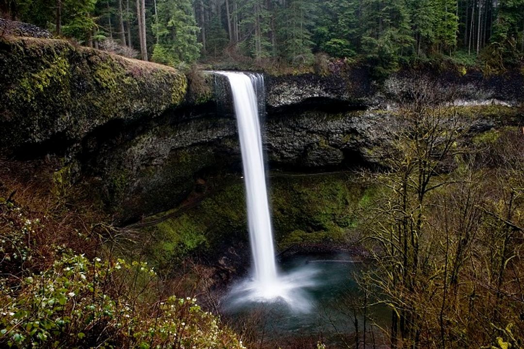 Silver Falls 