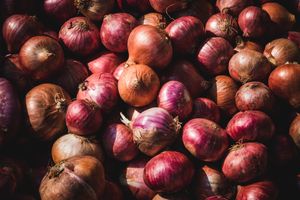 goh-rhy-yan-CCxWLAx0qmk-unsplash (1).jpg