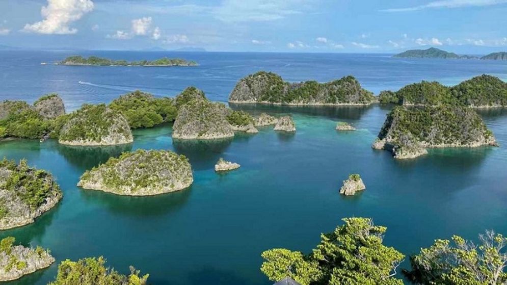 5 Perusahaan Tambang Nikel yang Beroperasi di Raja Ampat
