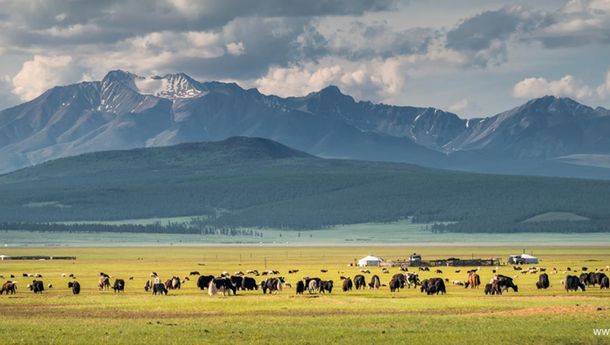 Mengenal Sejarah, Budaya dan Keindahan Alam Mongolia 