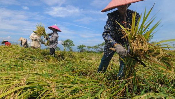 Tiga Sektor Ekonomi Penyumbang Kredit Perbankan Terbesar di Lampung 