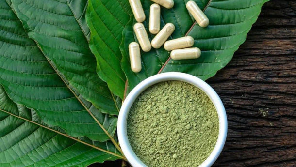 Kratom, Calon Komoditas Ekspor yang Kontroversial