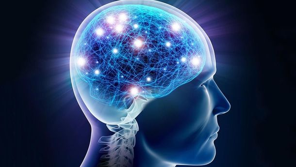 Sebenarnya Apa Saja Fungsi Otak?