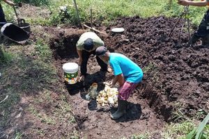 Inilah Berbagai Metode Pengolahan Sampah yang Dilakukan Warga Kota Bandung