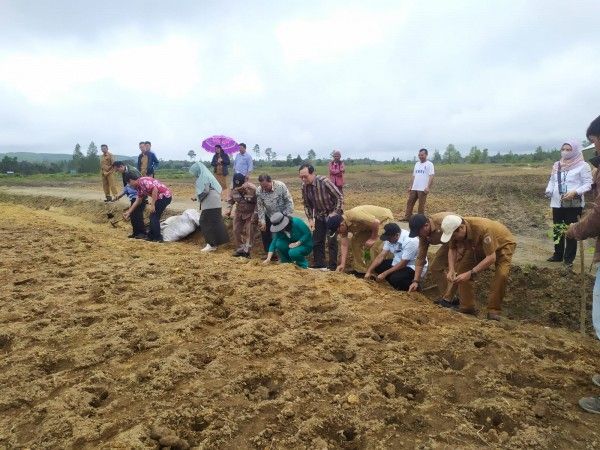 Kunjungan Kerja (Kunker) Anggota Komite II DPD RI meninjau pembangunan Food Estate di Kabupaten Humbahas.